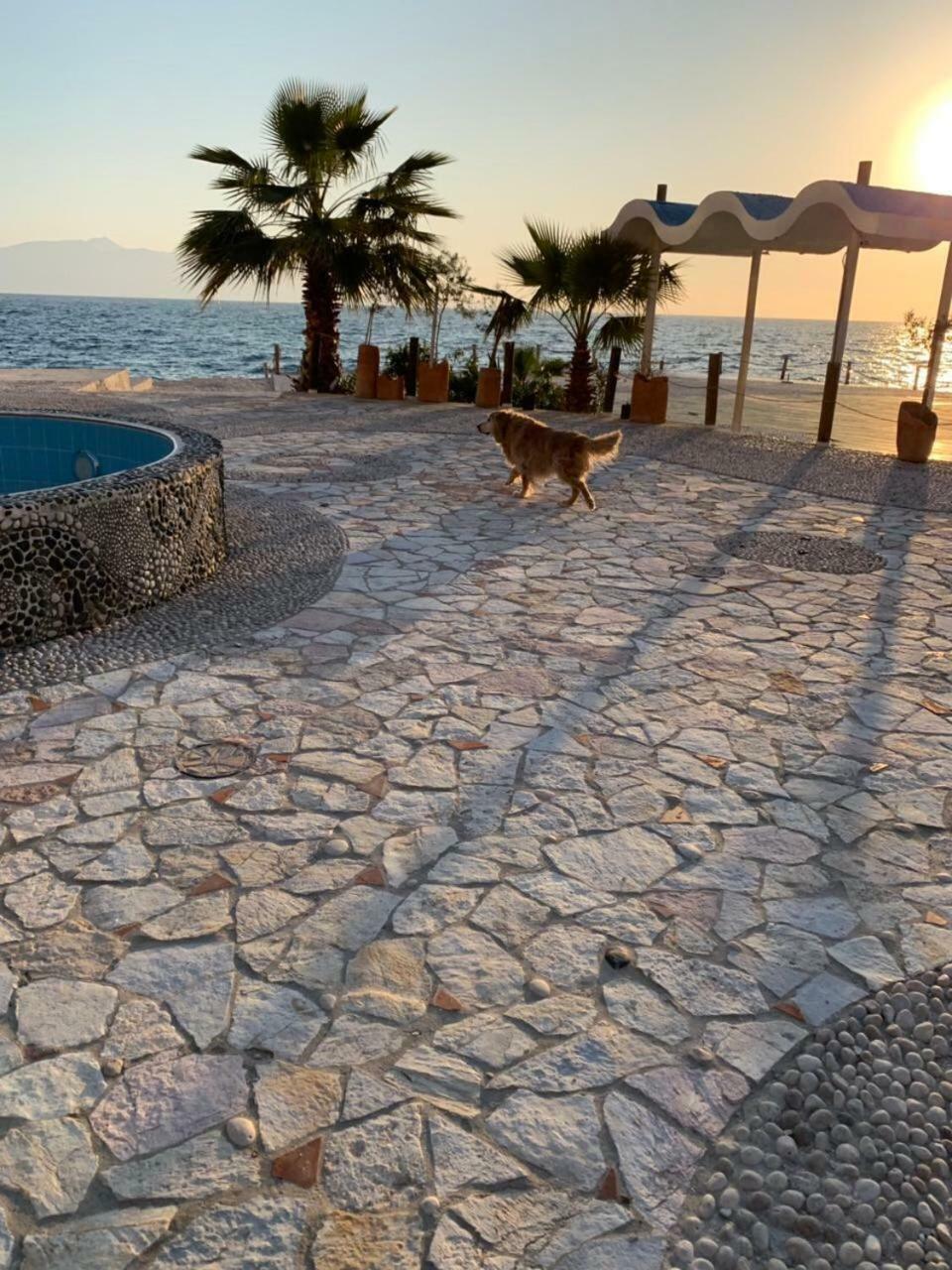 Bougainville Bay Resort - Villa 11 Sarande Luaran gambar